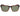 DRAGON MONARCH Sunglasses Matte tort frame/Green Lens